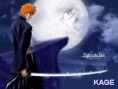 3° Temporada de Bleach - Sociedade Espiritual: O Resgate 