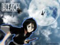 4° Temporada de Bleach - Os Bounts